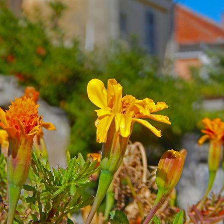 Apartmani Sindik Tivat Dış mekan fotoğraf